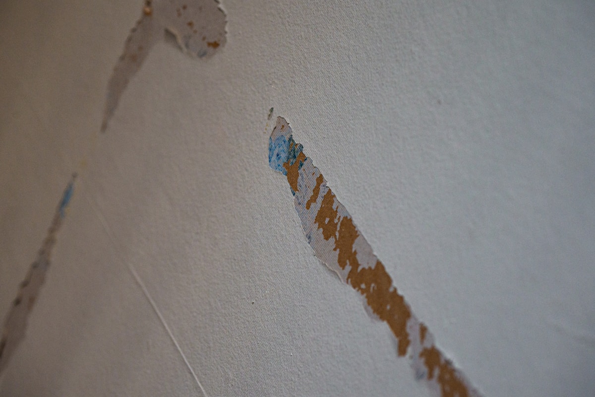 Structural Drying service in Downey, CA